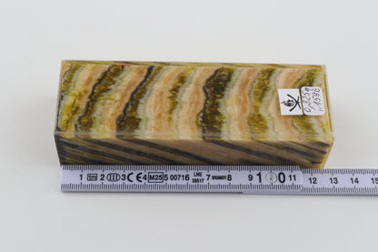 Stabilised mammoth molar block