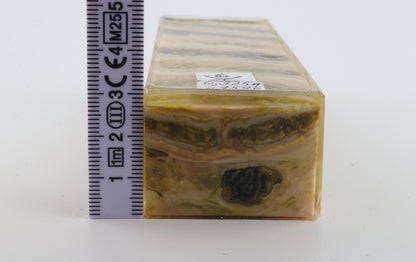 Stabilised mammoth molar block