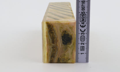 Stabilised mammoth molar block