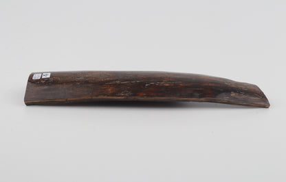 Brown mammoth bark