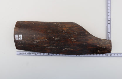 Brown mammoth bark