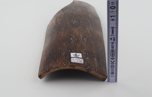 Brown mammoth bark