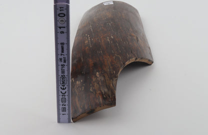 Brown mammoth bark
