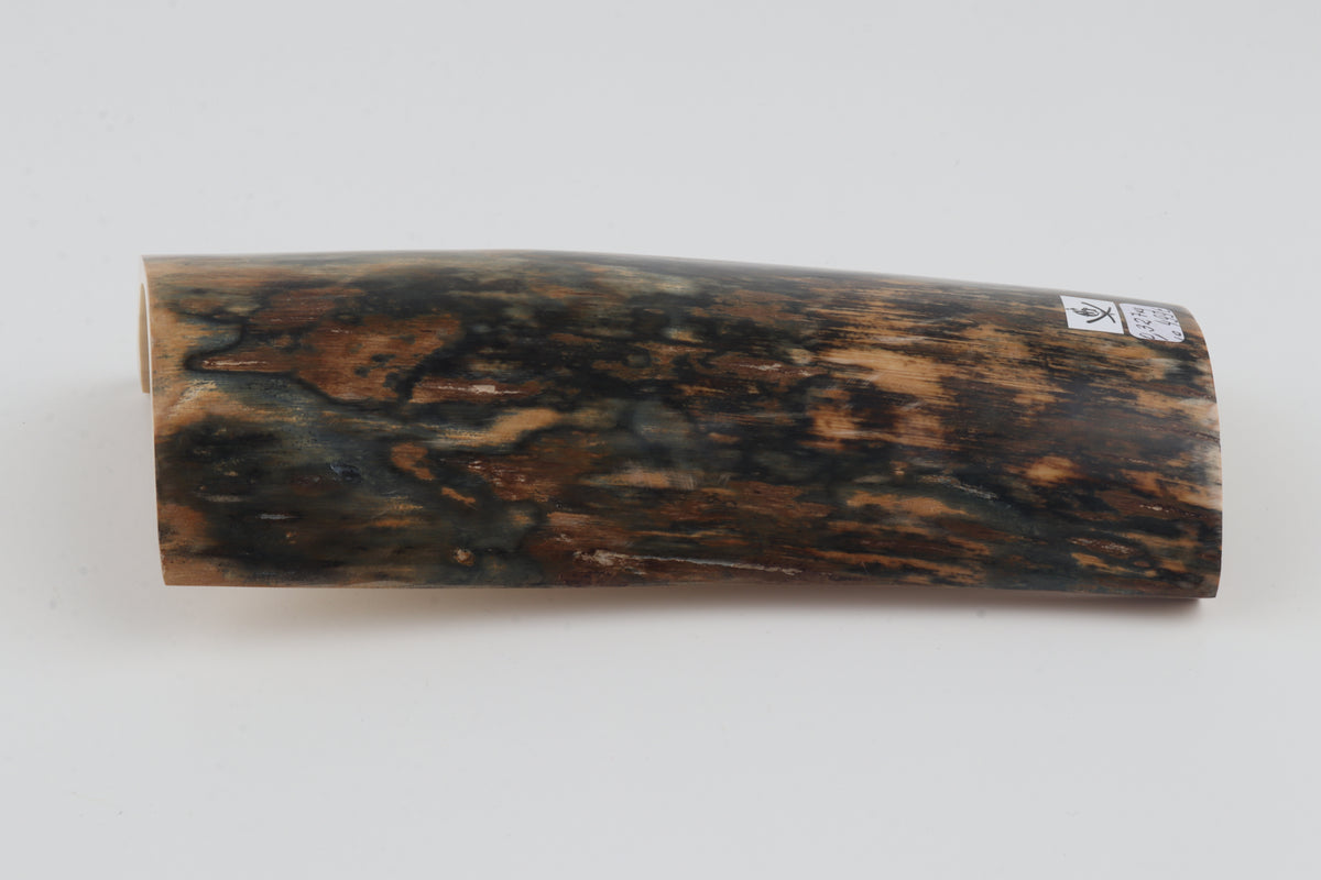 Blue-brown mammoth bark