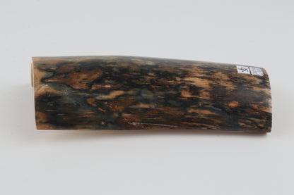 Blue-brown mammoth bark