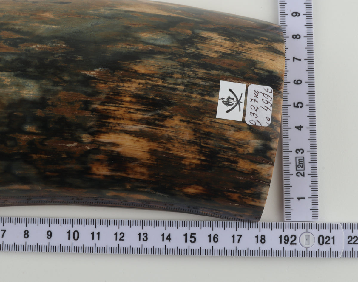 Blue-brown mammoth bark