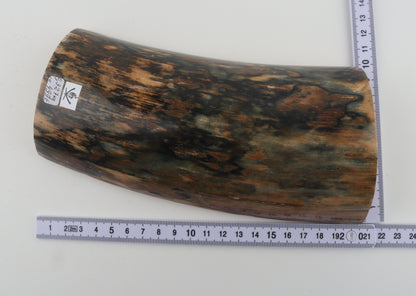 Blue-brown mammoth bark