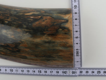 Blue-brown mammoth bark