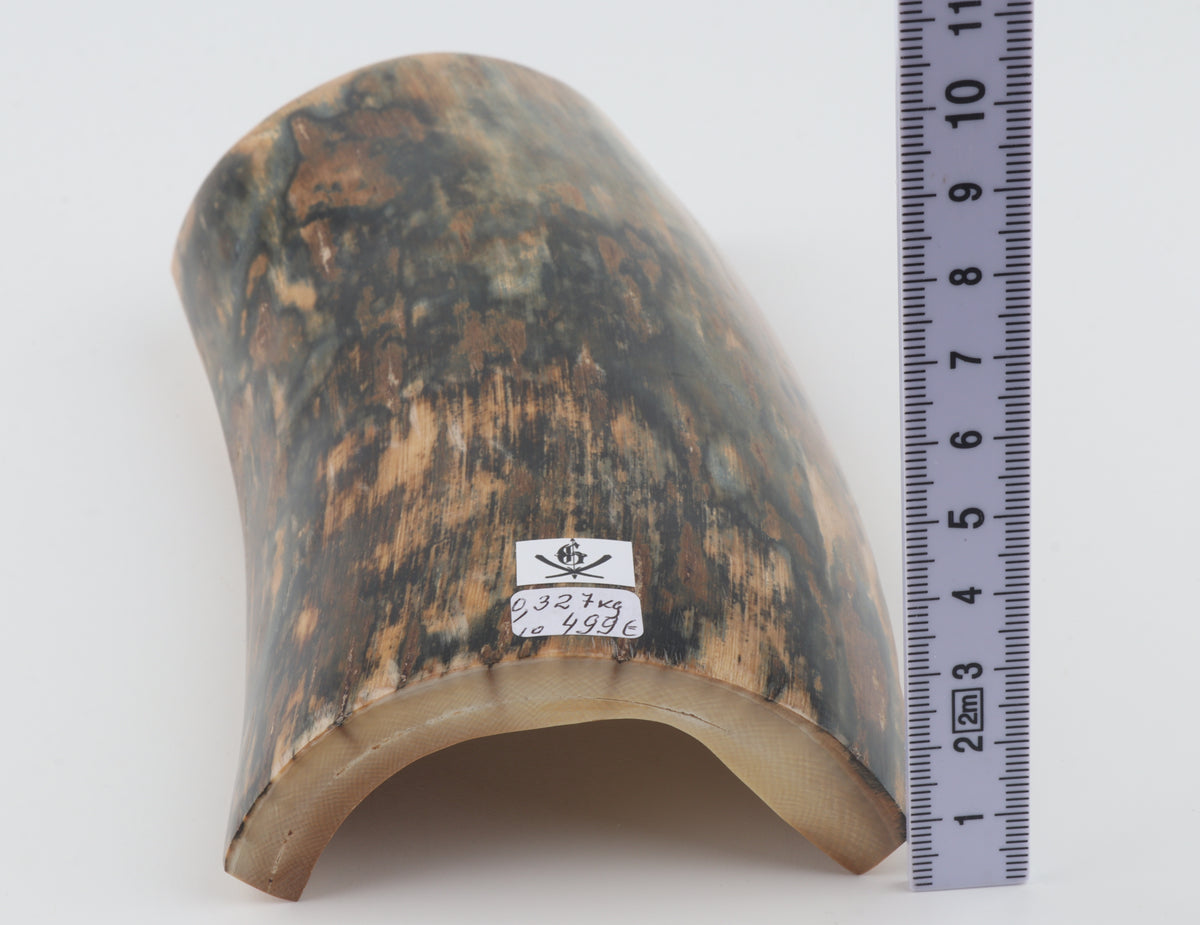 Blue-brown mammoth bark