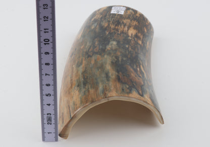 Blue-brown mammoth bark