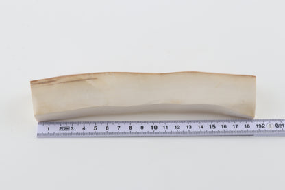 Natural mammoth ivory piece