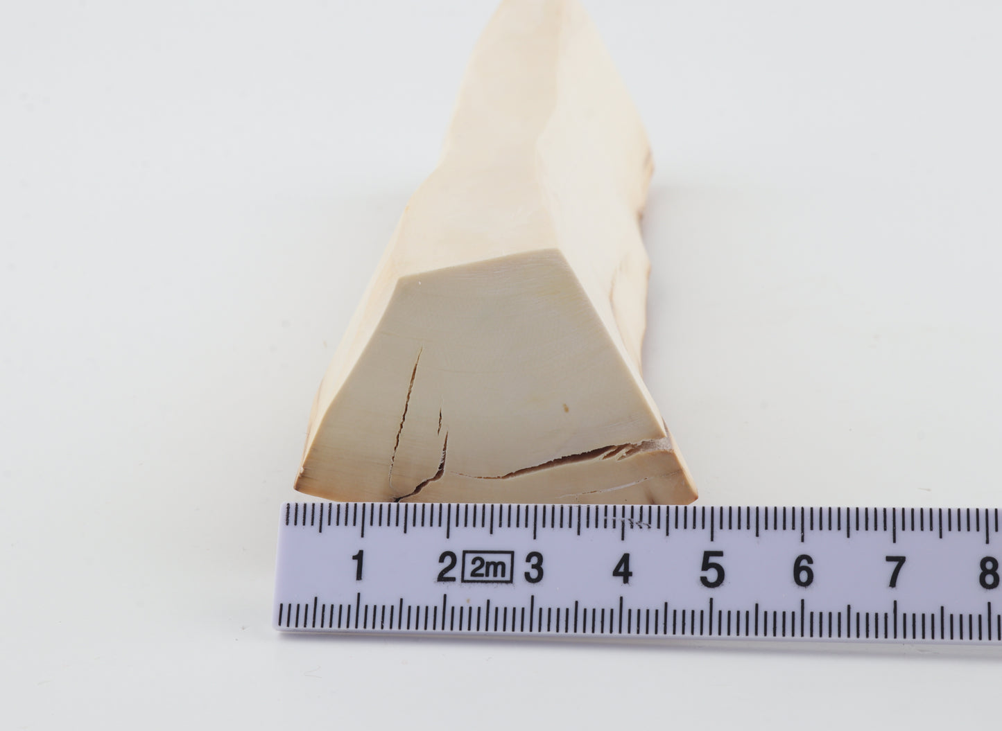 Natural mammoth ivory piece