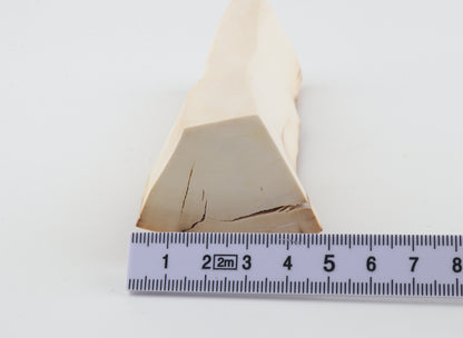 Natural mammoth ivory piece