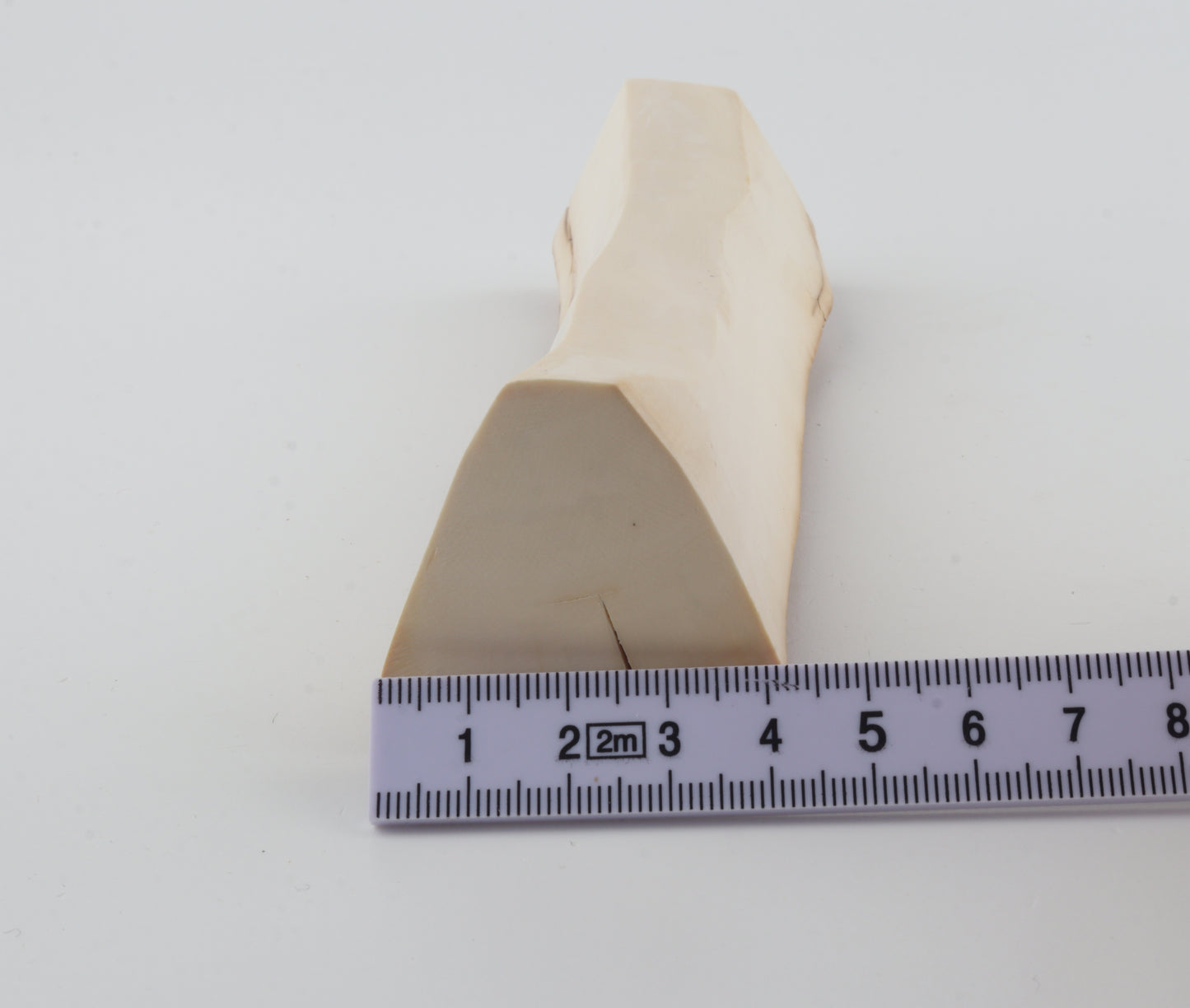 Natural mammoth ivory piece