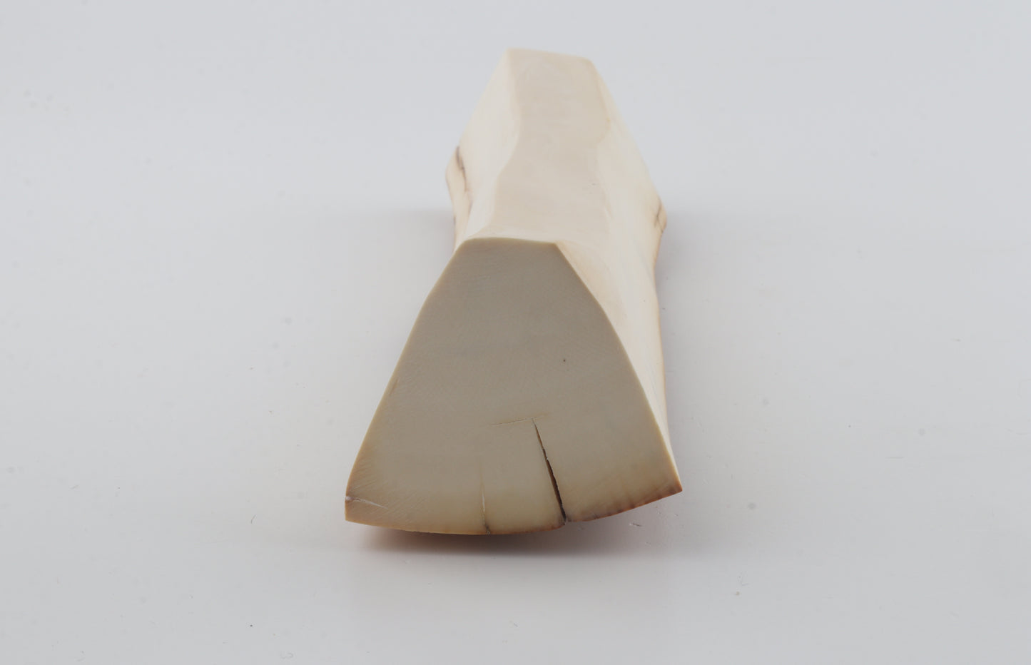 Natural mammoth ivory piece