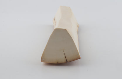 Natural mammoth ivory piece