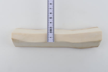 Natural mammoth ivory piece