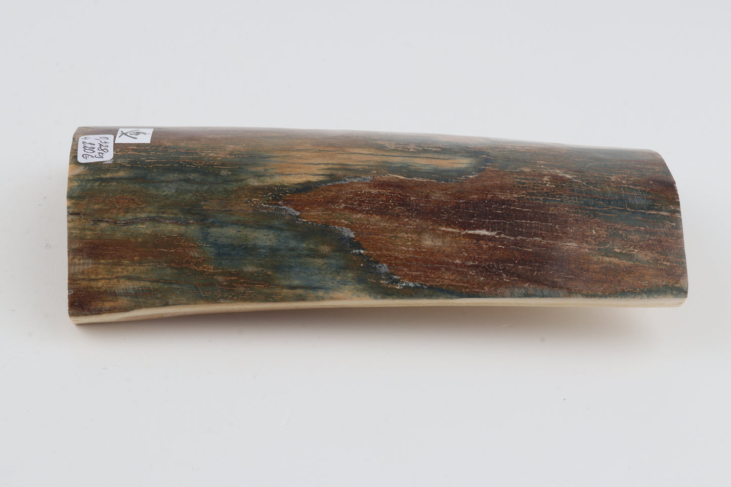 Natural woolly mammoth bark