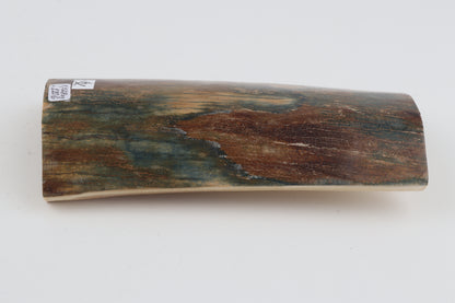 Natural woolly mammoth bark