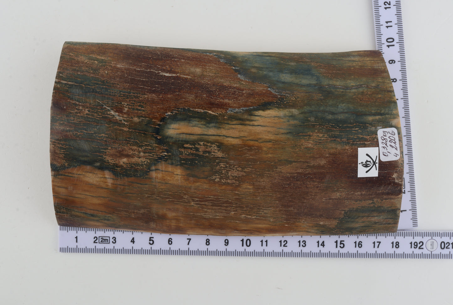 Natural woolly mammoth bark