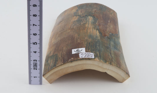 Natural woolly mammoth bark