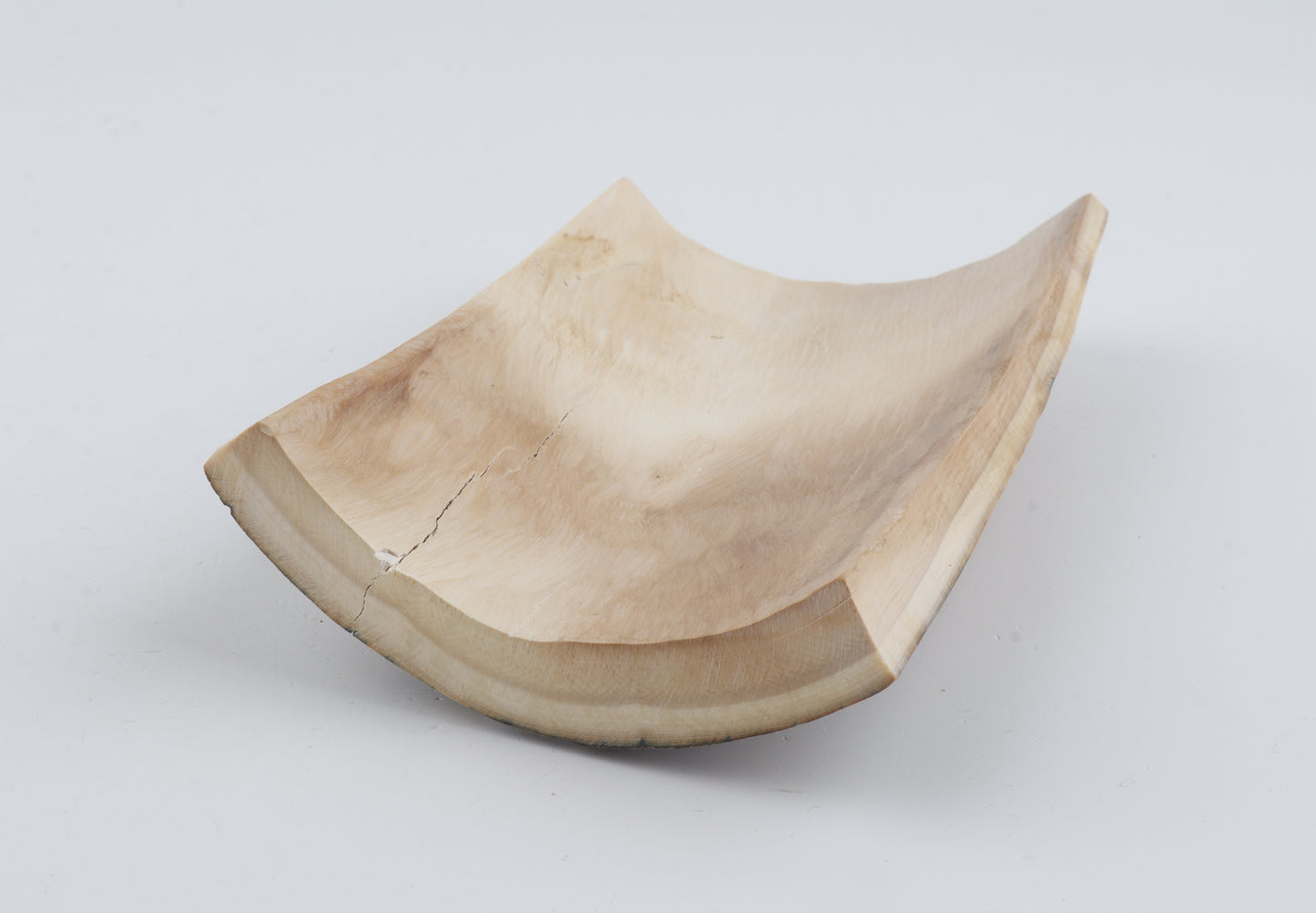 Natural woolly mammoth bark