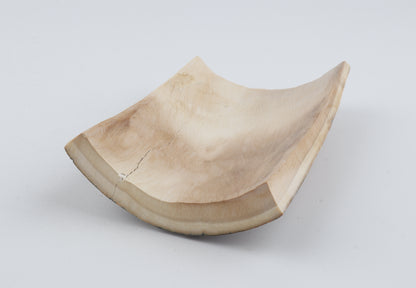 Natural woolly mammoth bark