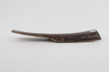 Brown mammoth bark
