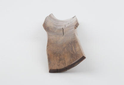 Brown mammoth bark