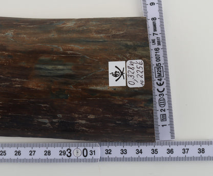 Brown mammoth bark