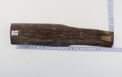 Brown mammoth bark