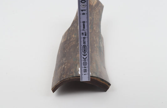 Brown mammoth bark