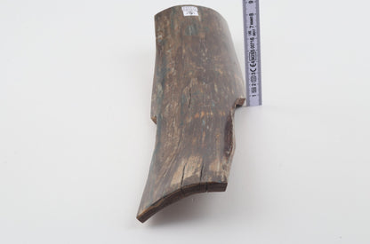 Brown mammoth bark
