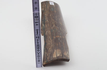 Brown mammoth bark
