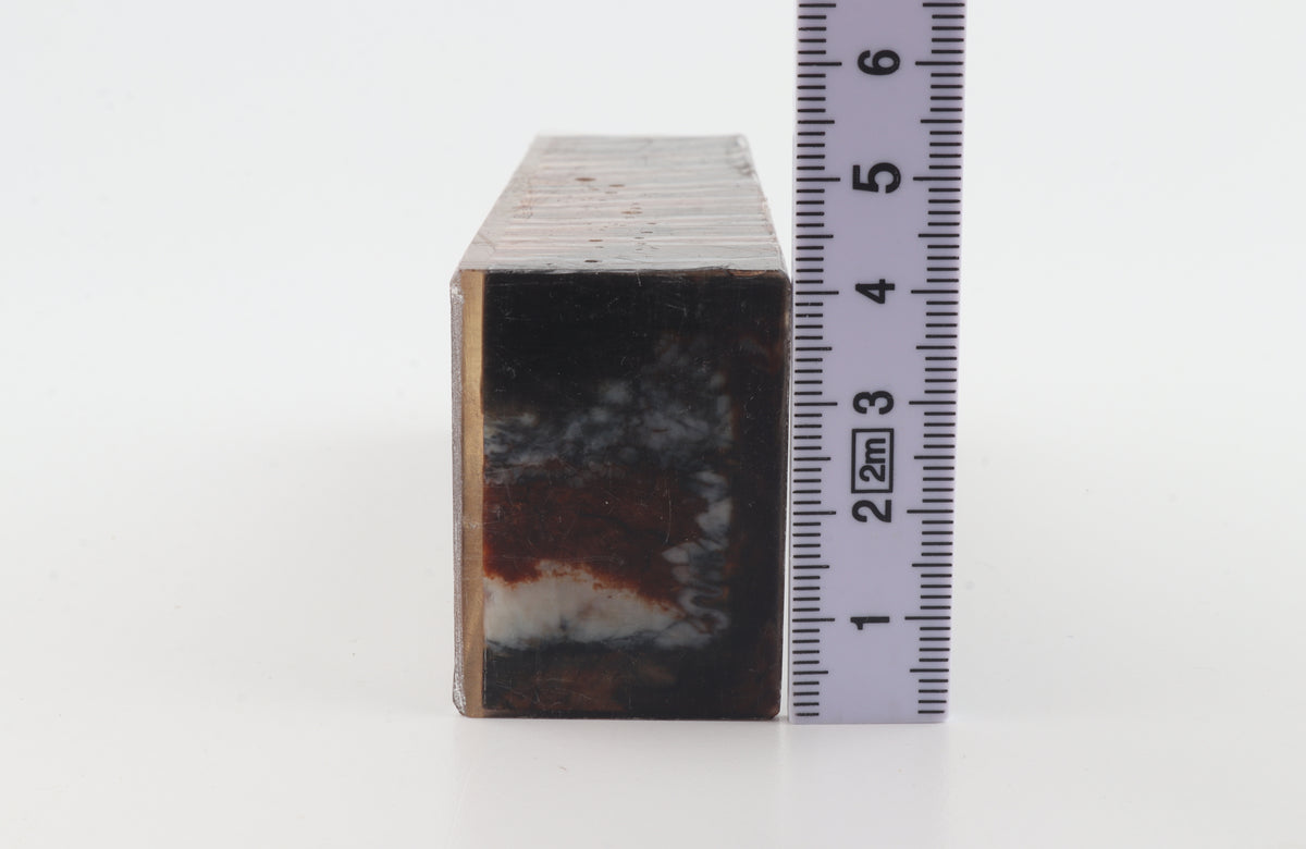 Stabilised mammoth molar block