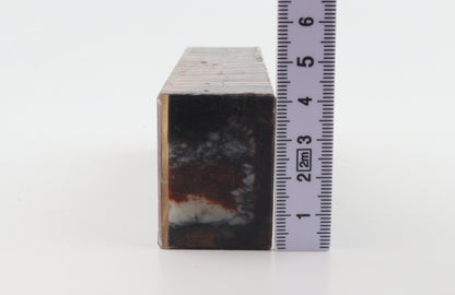Stabilised mammoth molar block