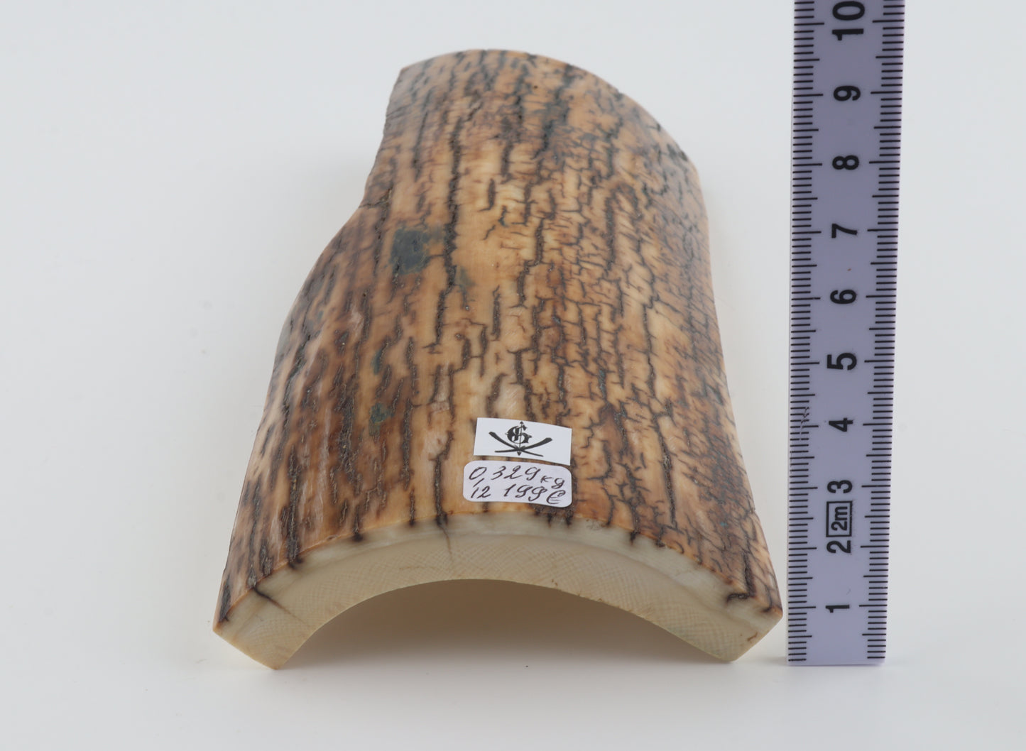 Brown-mustard mammoth bark