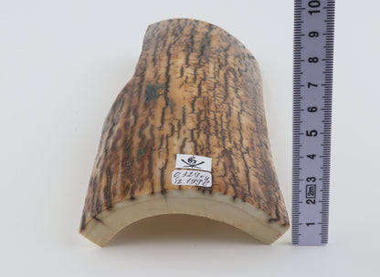 Brown-mustard mammoth bark