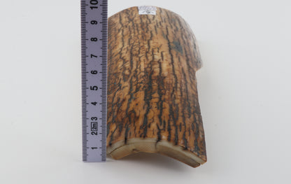 Brown-mustard mammoth bark