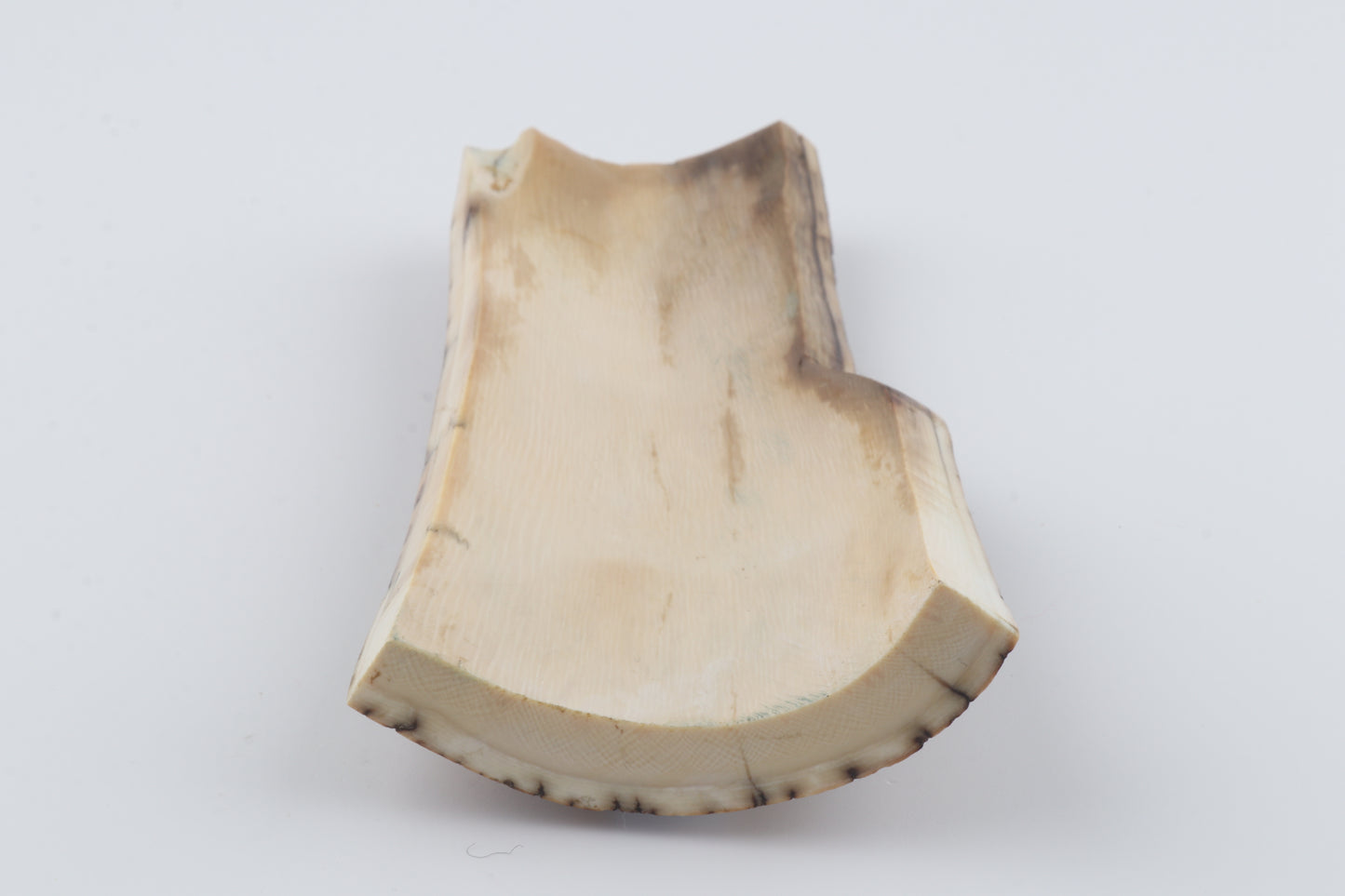 Brown-mustard mammoth bark