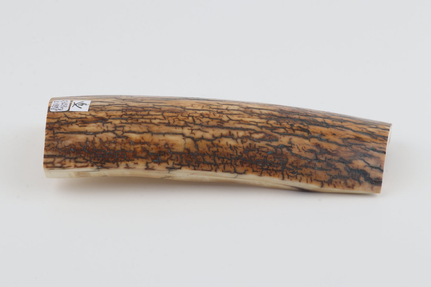 Brown-mustard mammoth bark