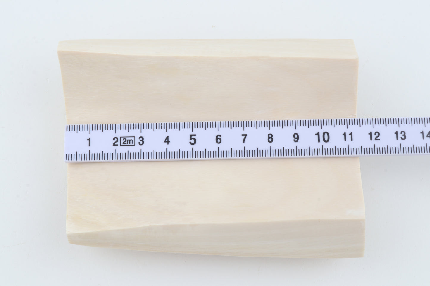 White mammoth ivory segment