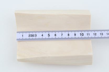 White mammoth ivory segment
