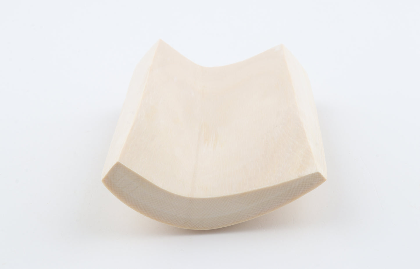 White mammoth ivory segment