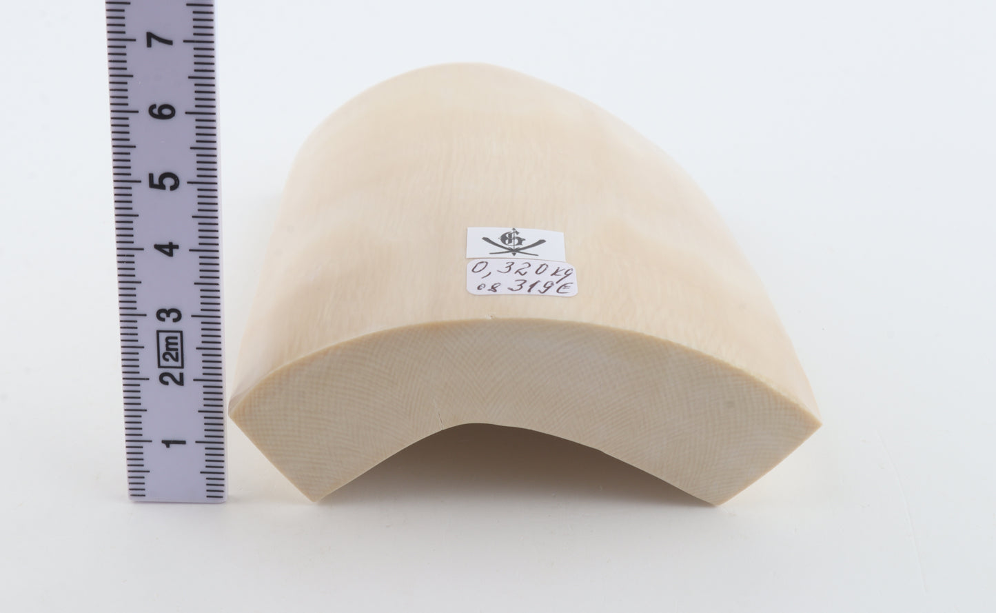 White mammoth ivory segment