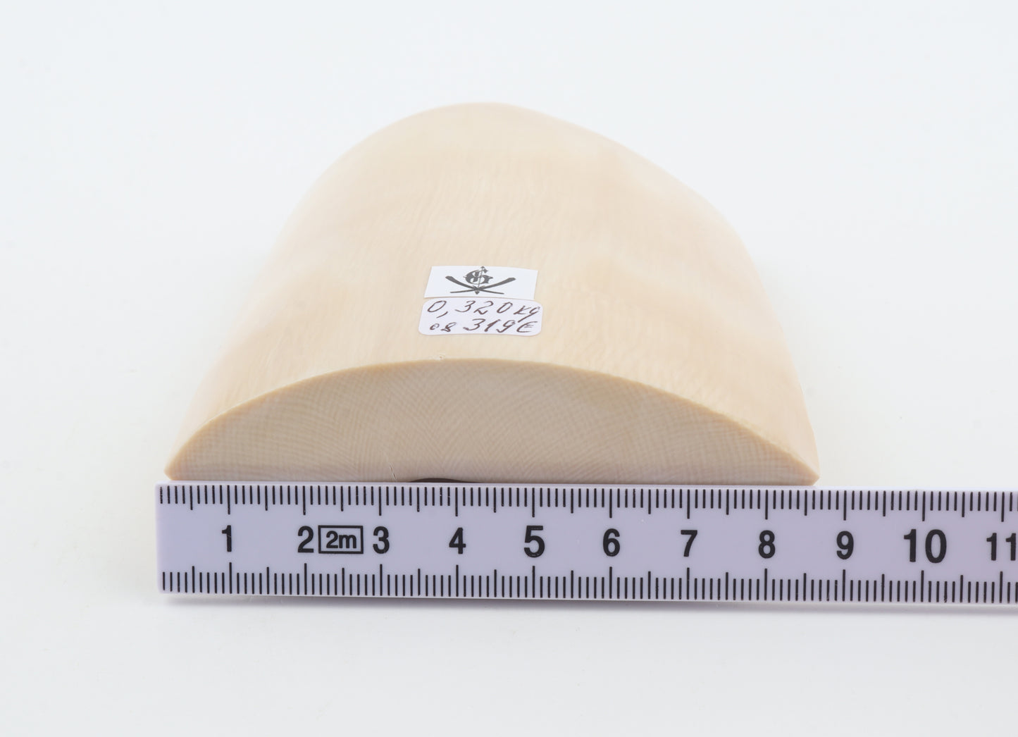 White mammoth ivory segment