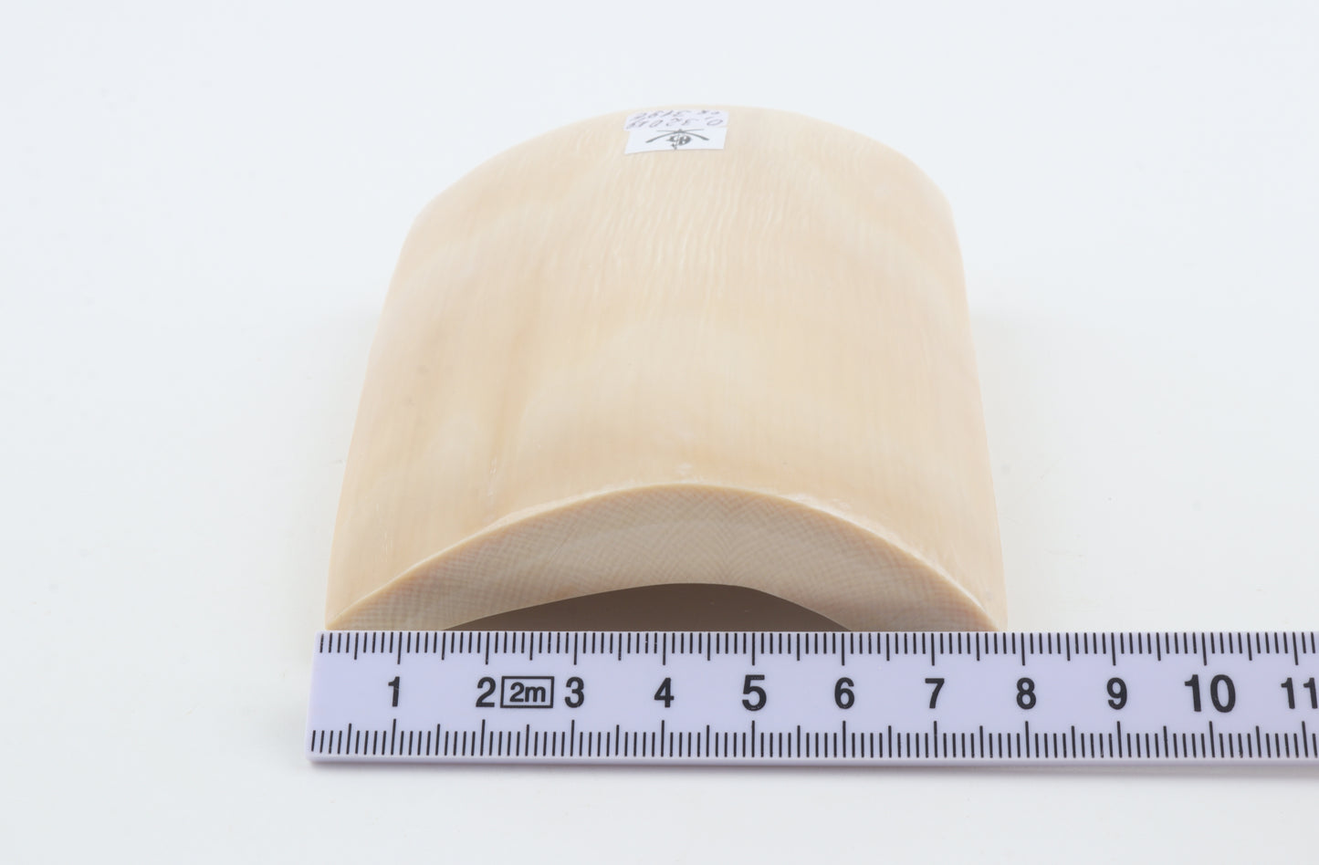 White mammoth ivory segment