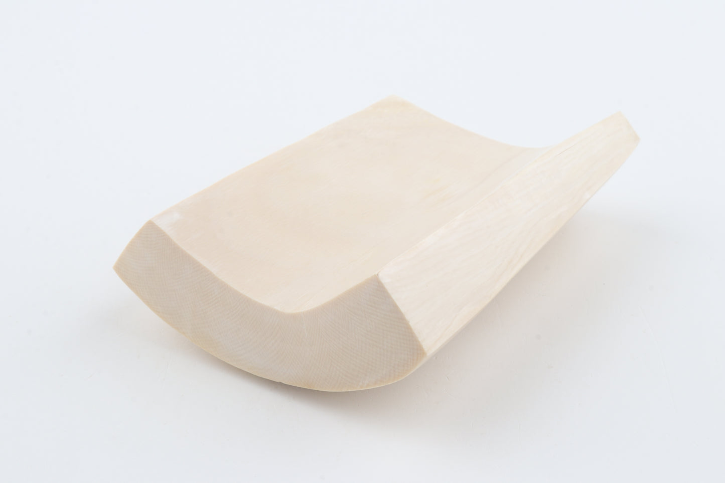 White mammoth ivory segment