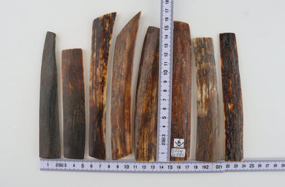 Natural mammoth bark pieces