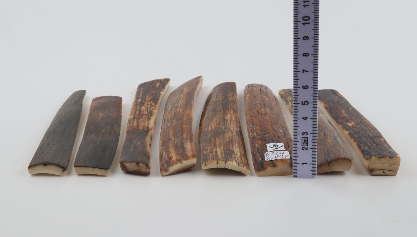 Natural mammoth bark pieces